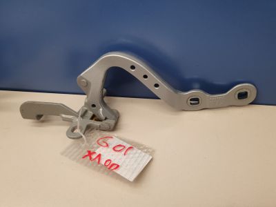 Петля двери багажника левая для BMW X3 G01 G08 2017-