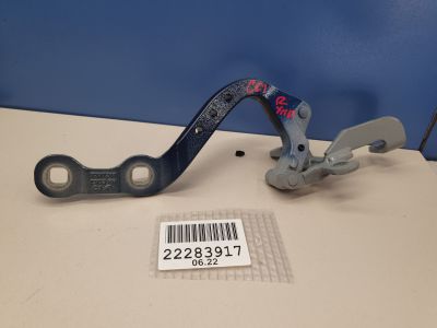 Петля двери багажника правая для BMW X3 G01 G08 2017-