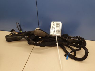 Жгут проводов передней правой двери для BMW 3 G20 2019-