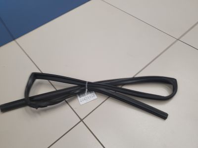 Уплотнитель стекла двери задний правый для Nissan Qashqai J11E 2014-