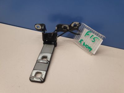 Петля двери багажника левая для BMW X5 F15 2013-2018