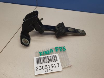 Петля двери багажника левая для BMW X3 F25 2010-2017