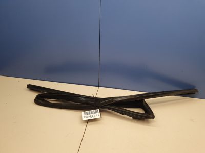 Уплотнитель стекла двери задний левый для Land Rover Discovery 2017-