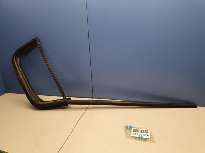 Уплотнитель стекла двери задний правый для Renault Clio 3 2005-2012
