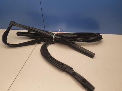 Уплотнитель стекла двери задний правый для BMW 7 G11 G12 2015-