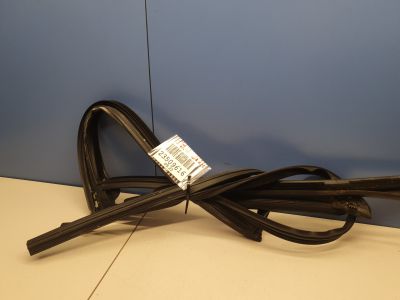 Уплотнитель стекла двери задний левый для BMW 5 G30 F90 2016-