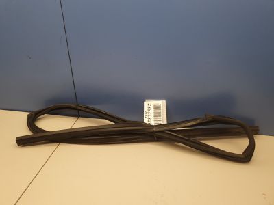 Уплотнитель стекла задней левой двери для Nissan Qashqai J11E 2014-