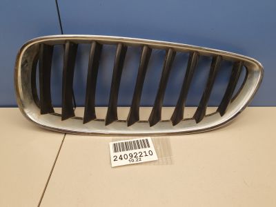 Решетка радиатора левая для BMW Z4 E89 2009-2016