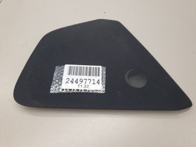 Накладка обшивки двери задней правой для Tesla Model X 2015-