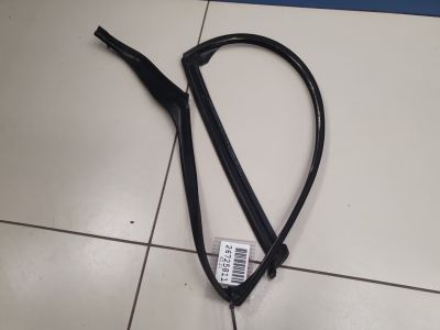 Уплотнитель стекла двери задний левый для BMW 5 F10 2009-2017