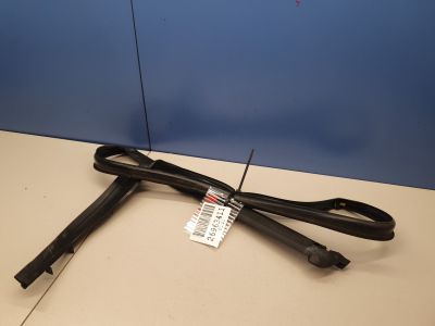 Уплотнитель стекла двери задний левый для BMW 5 F10 2009-2017