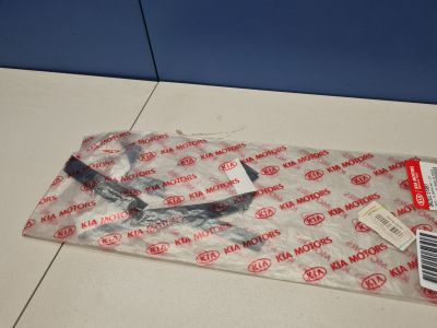 Молдинг двери левый задний для KIA Spectra 2001-2011