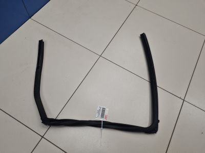 Уплотнитель стекла двери задний правый для Nissan Qashqai J10 2006-2014