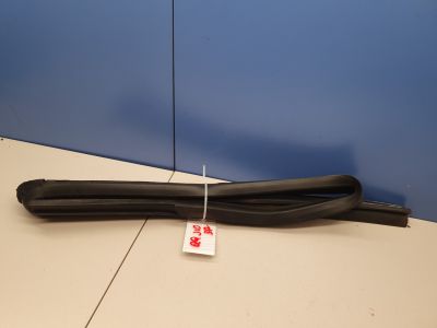 Уплотнитель стекла двери задний правый для Nissan Qashqai J10 2006-2014