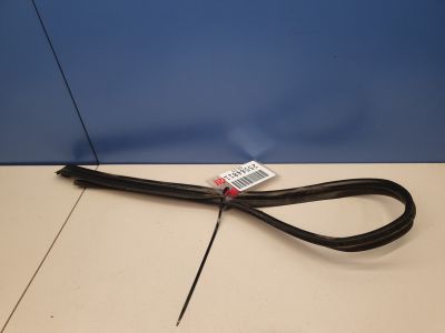 Уплотнитель двери передней левой для BMW 7 G11 G12 2015-