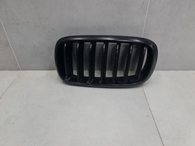 Решетка радиатора левая для BMW X5 M F85 2014-