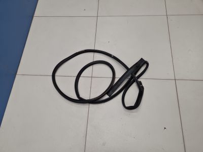 Уплотнитель двери задней правой для Omoda C5 2022-