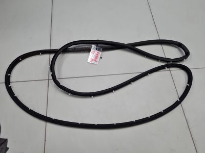 Уплотнитель двери задней правой для Exeed RX 2023-