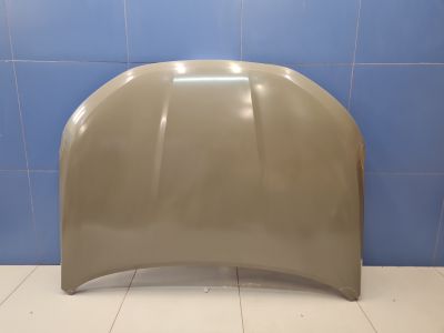 Капот для Haval Jolion 2021-