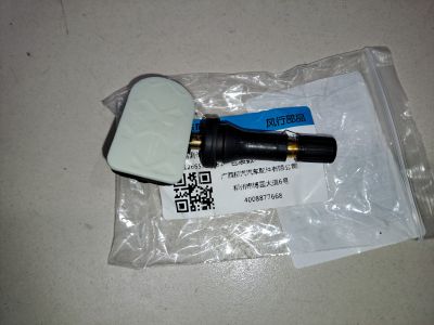 Датчик давления в шине для Evolute I-Sky 2023-