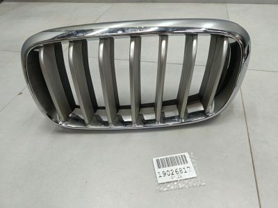 Решетка радиатора левая для BMW X5 F15 2013-2018
