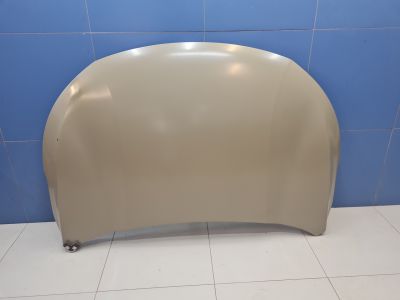 Капот для Exeed TXL 2020-
