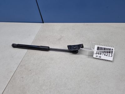 Амортизатор капота для Aito M9 2023-