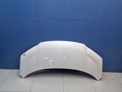 Капот для Zeekr 009 2022-