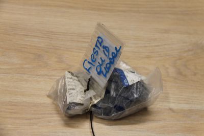 Петля двери задней левой нижняя для Ford Fiesta Mk5 2001-2008