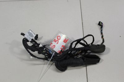 Жгут проводов передней левой двери для BMW 5 G30 F90 2016-