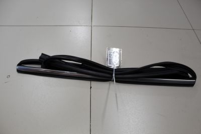 Уплотнитель стекла двери задний левый для BMW X5 F15 2013-2018