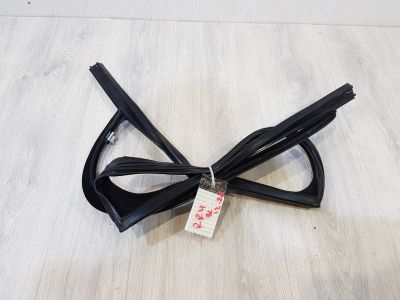 Уплотнитель стекла двери задний левый для Land Rover Range Rover Sport 2013-