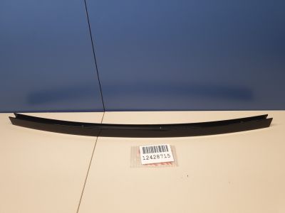 Направляющая стекла задней левой двери для BMW X6 F16 2014-2020