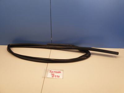 Уплотнитель стекла двери задний левый для Hyundai Tucson TL 2015-2021