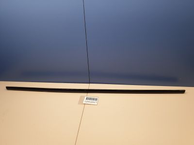 Молдинг стекла задней левой двери для BMW X6 E71 E72 2007-2014