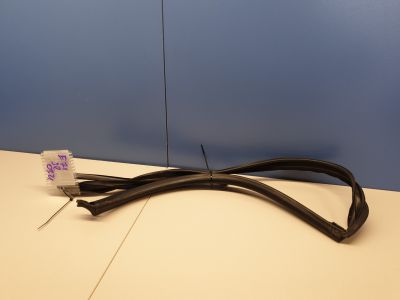 Уплотнитель стекла двери задний правый для BMW X6 E71 E72 2007-2014