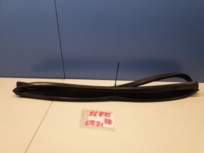Уплотнитель стекла двери задний правый для BMW X6 E71 E72 2007-2014