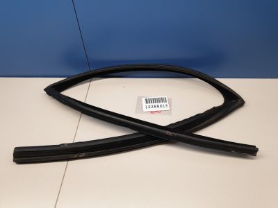 Уплотнитель стекла двери задний правый для BMW 5 F10 2009-2017