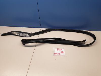 Уплотнитель рамки двери задней правой для BMW 5 F10 2009-2017