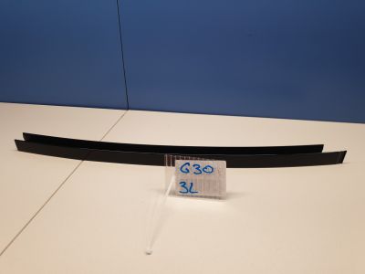 Направляющая стекла задней левой двери для BMW 5 G30 F90 2016-