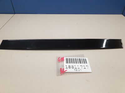 Накладка рамки двери задняя левая для BMW X3 G01 G08 2017-