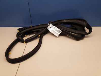 Уплотнитель двери задней левой для Land Rover Range Rover Sport 2013-